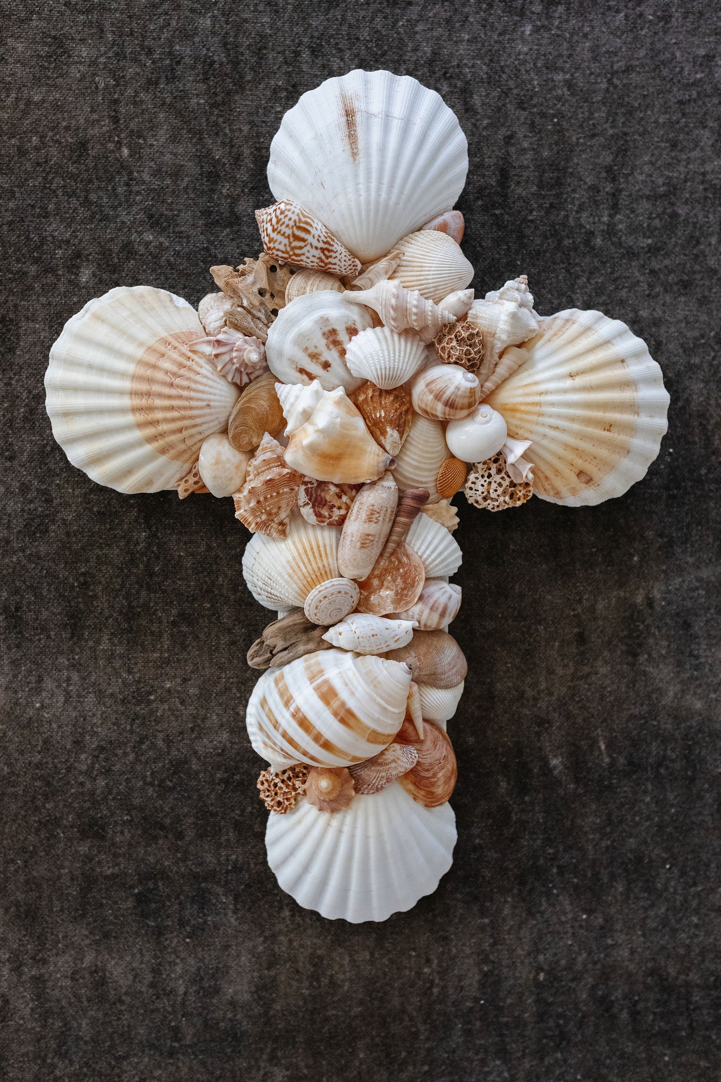 Medium Shell Cross III