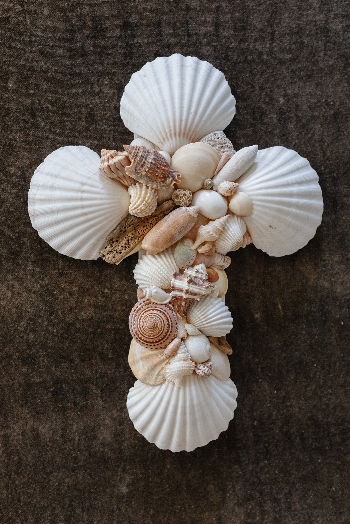 Small Shell Cross III