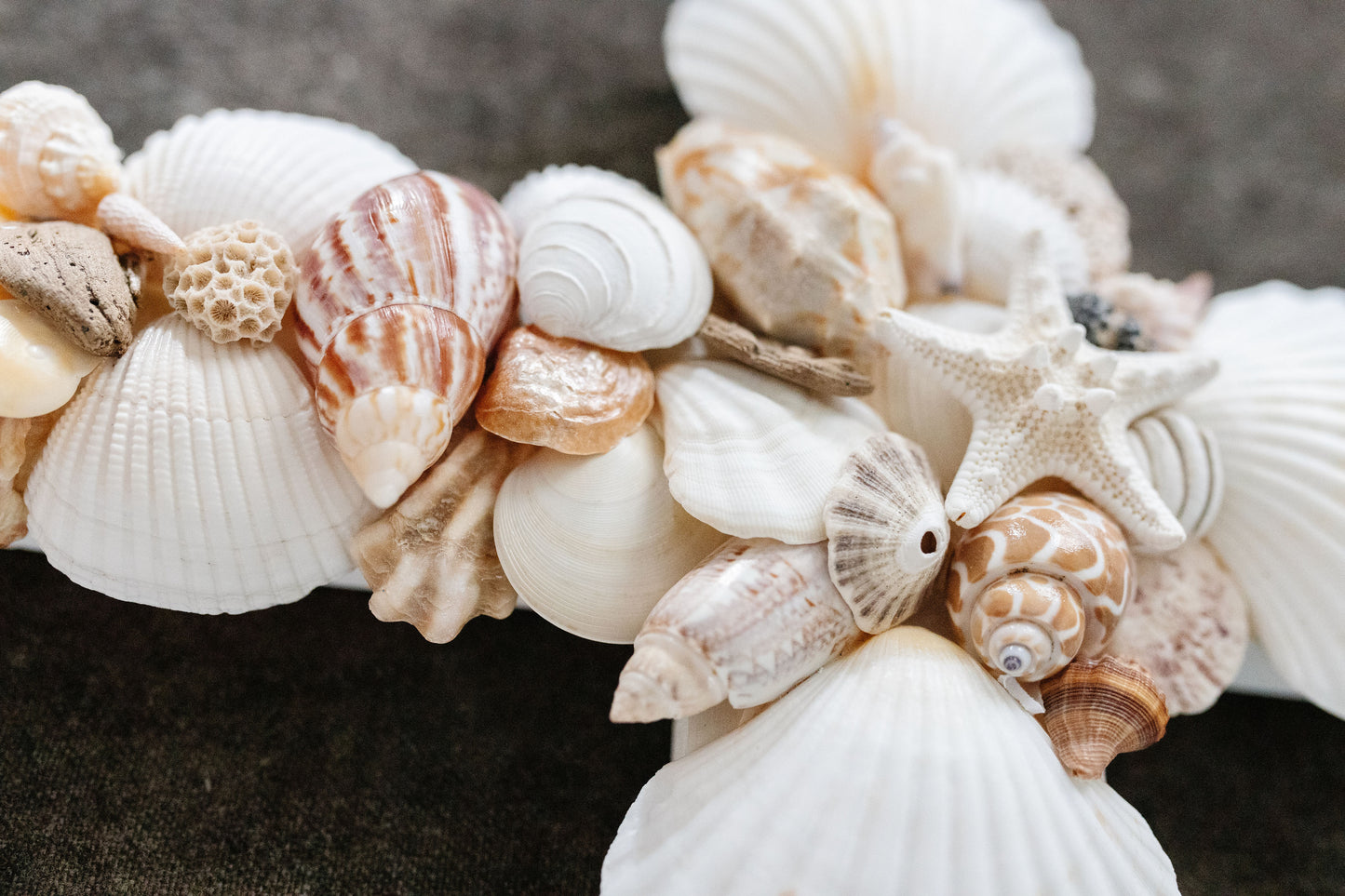 Small Shell Cross I
