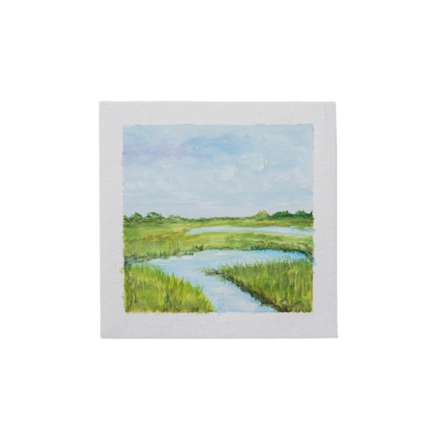 Mini Marsh I