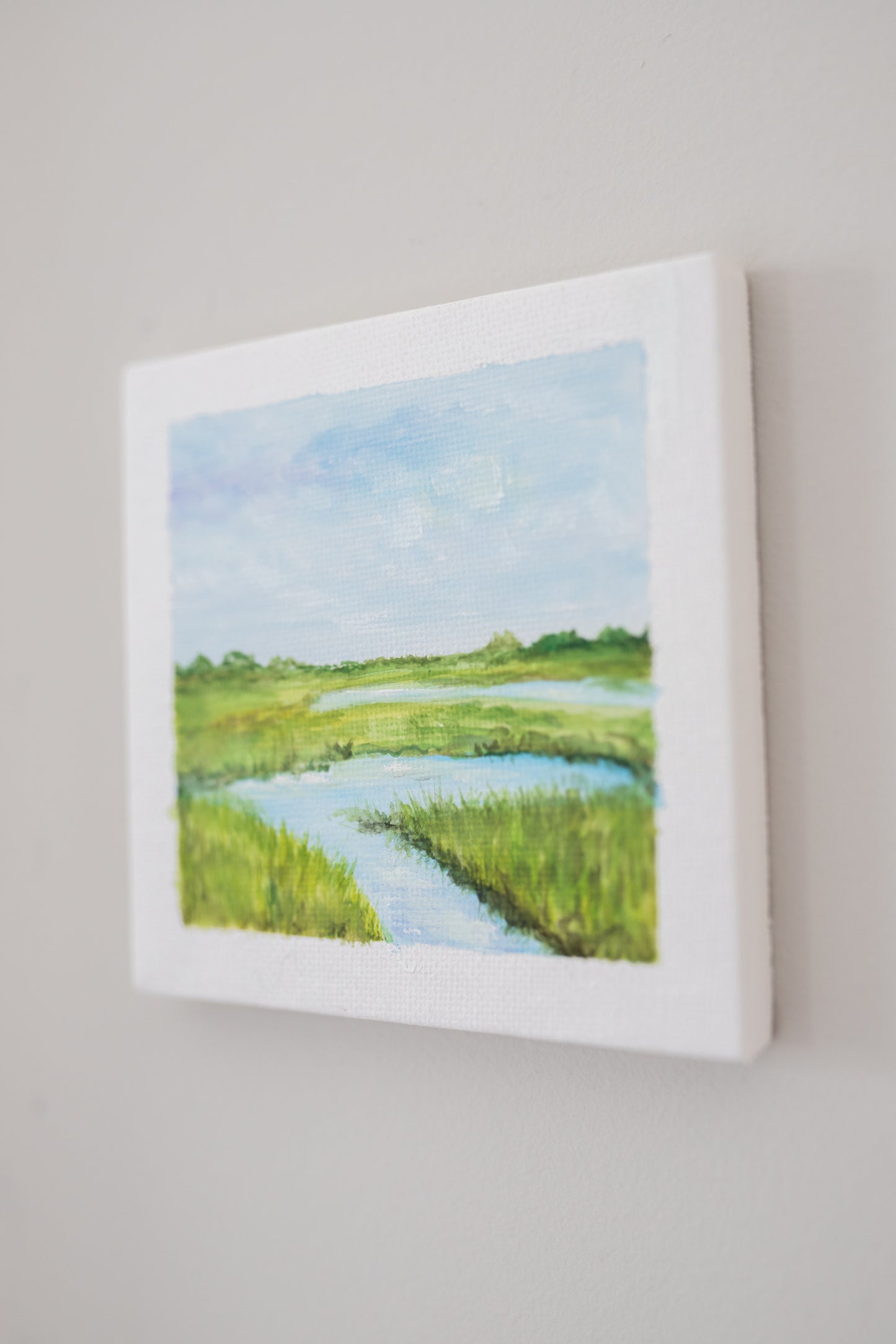 Mini Marsh I